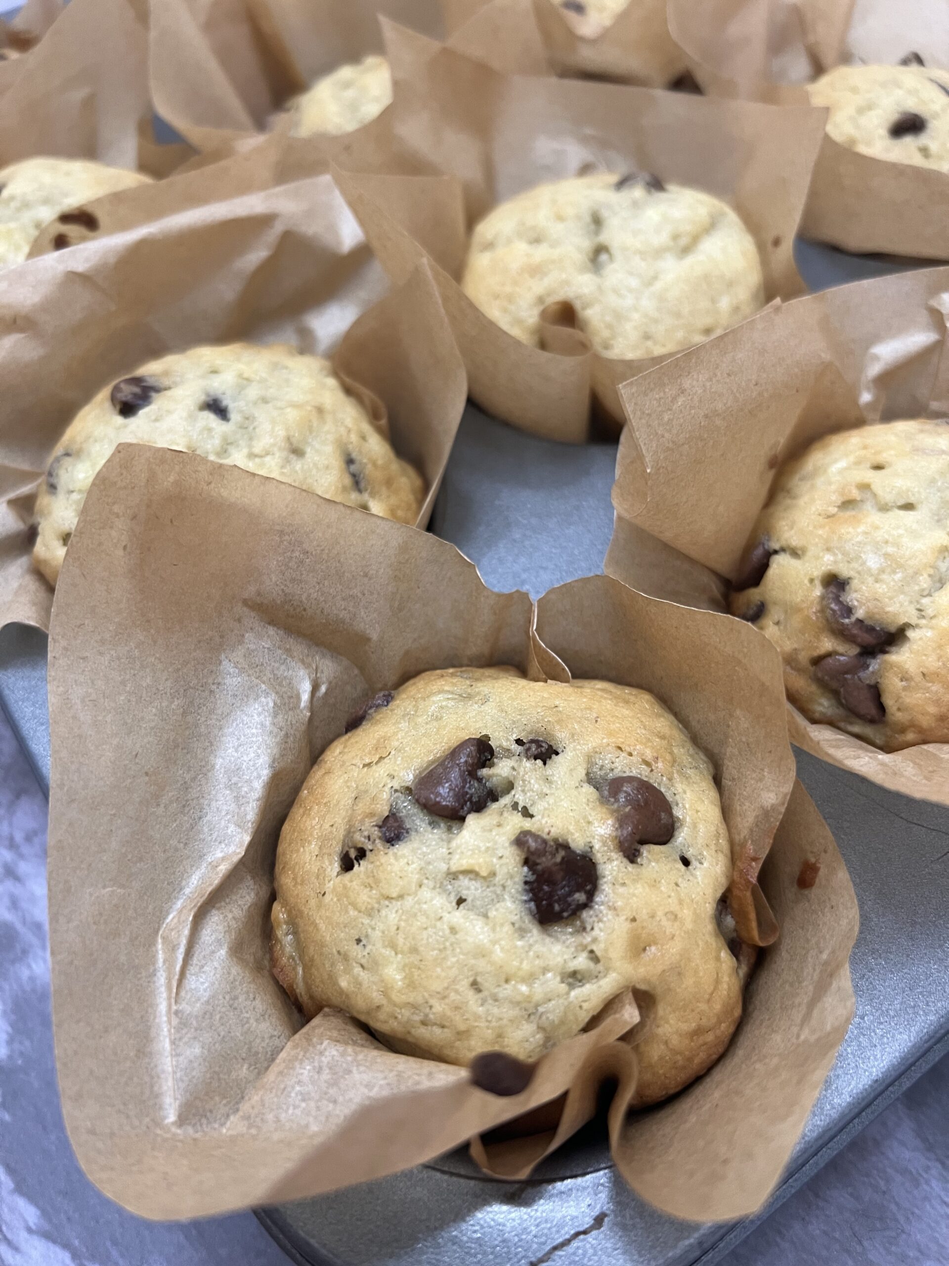 Banana Chocolate Chip Muffins