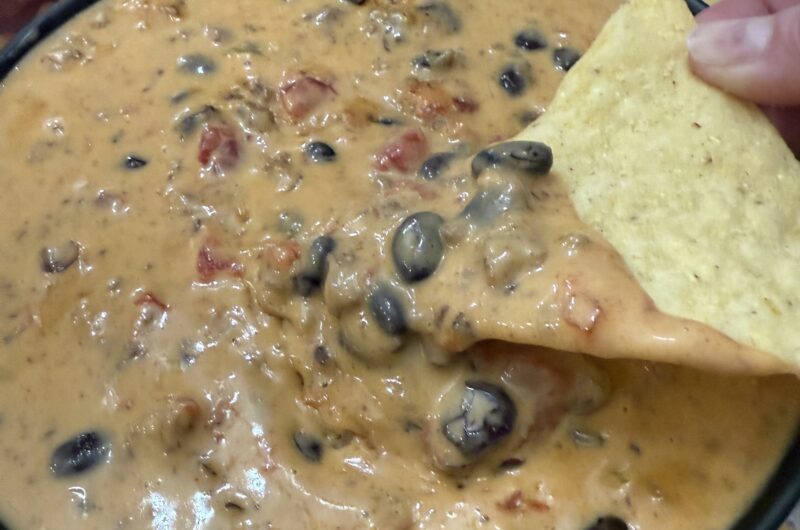 Black Bean Queso Dip